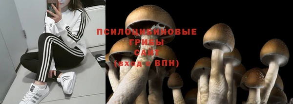 apvp Белоозёрский
