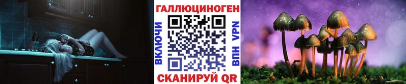 Галлюциногенные грибы Psilocybe Венёв
