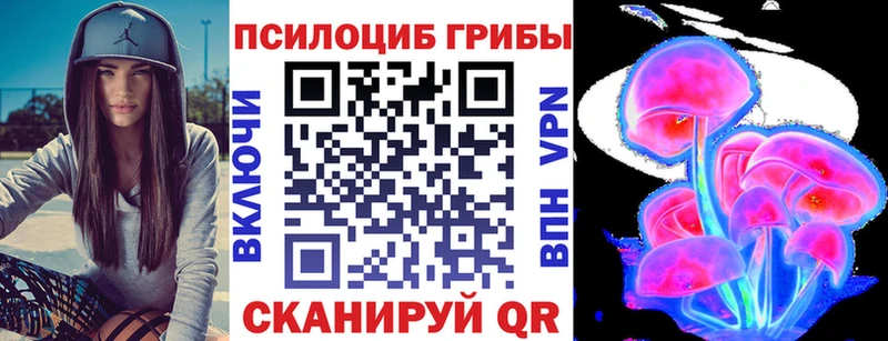 Псилоцибиновые грибы GOLDEN TEACHER  где купить наркоту  Венёв 